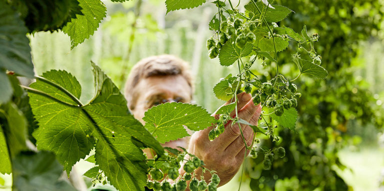 Bier: Erfolgreich und vielfältig