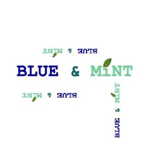 Minerva-Award SHEtech: BLUE&MiNT