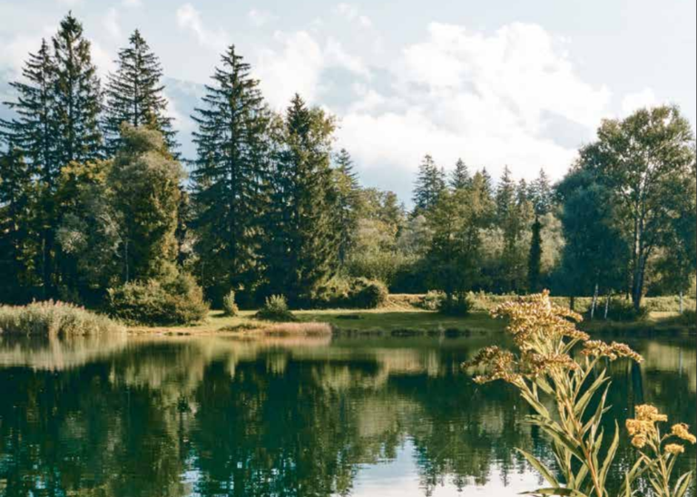 Der Wert des Erlebens