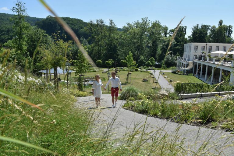 Prädikat außergewöhnlich: Regeneration im Wienerwald