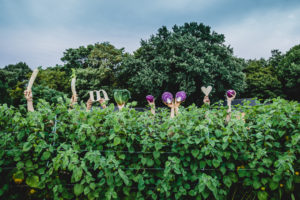 WKO #schaffenwir: Der Bauernmarkt der Zukunft
