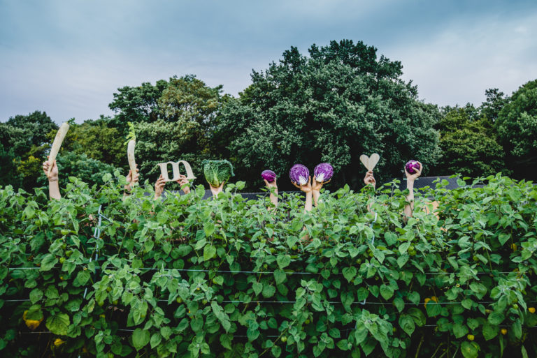 WKO #schaffenwir: Der Bauernmarkt der Zukunft