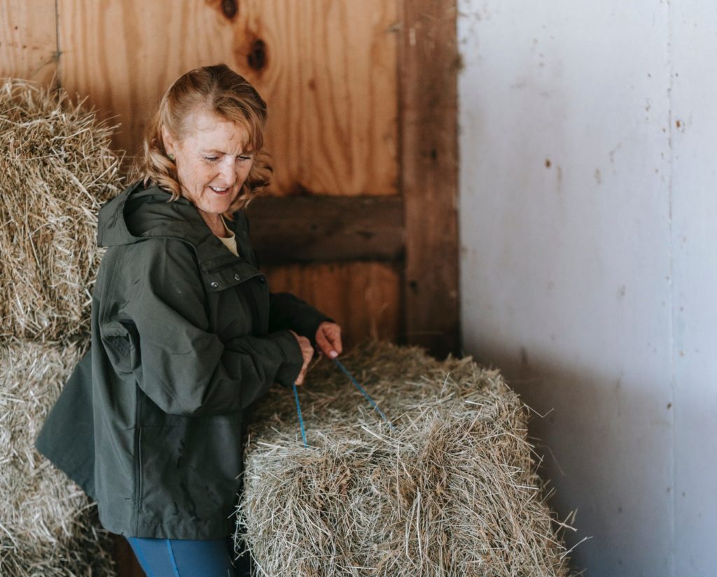Ökosoziale Steuerreform – Erleichterung für Landwirtschaft und Familien