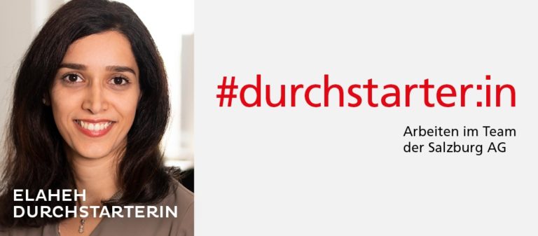 IT Project Manager:in