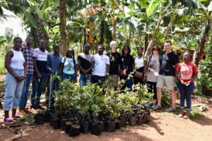 Bäume für Uganda
