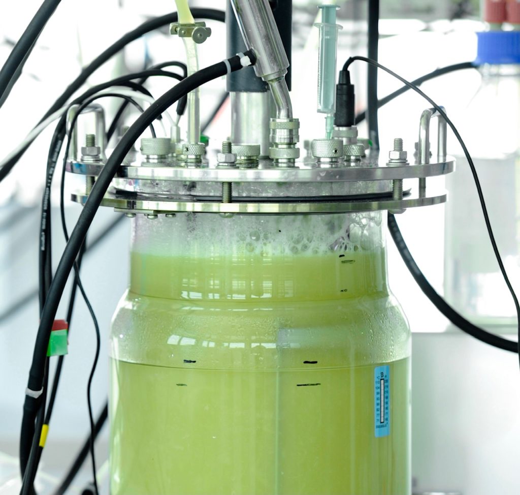 Mit Mikroorganismen gegen den Klimawandel