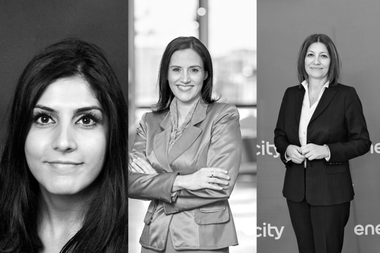 Power Ladies – Teil 2: Leaderinnen aus der deutschen Energiebranche