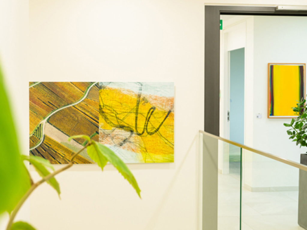 Eva Muellers Sunday Artletter: Gefühl und Verstand