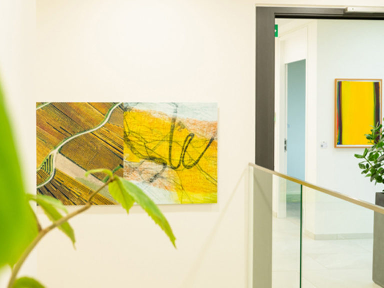 Eva Muellers Sunday Artletter: Gefühl und Verstand