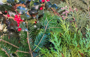 Was uns Zuversicht bringt