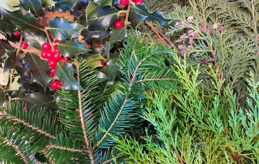 Was uns Zuversicht bringt