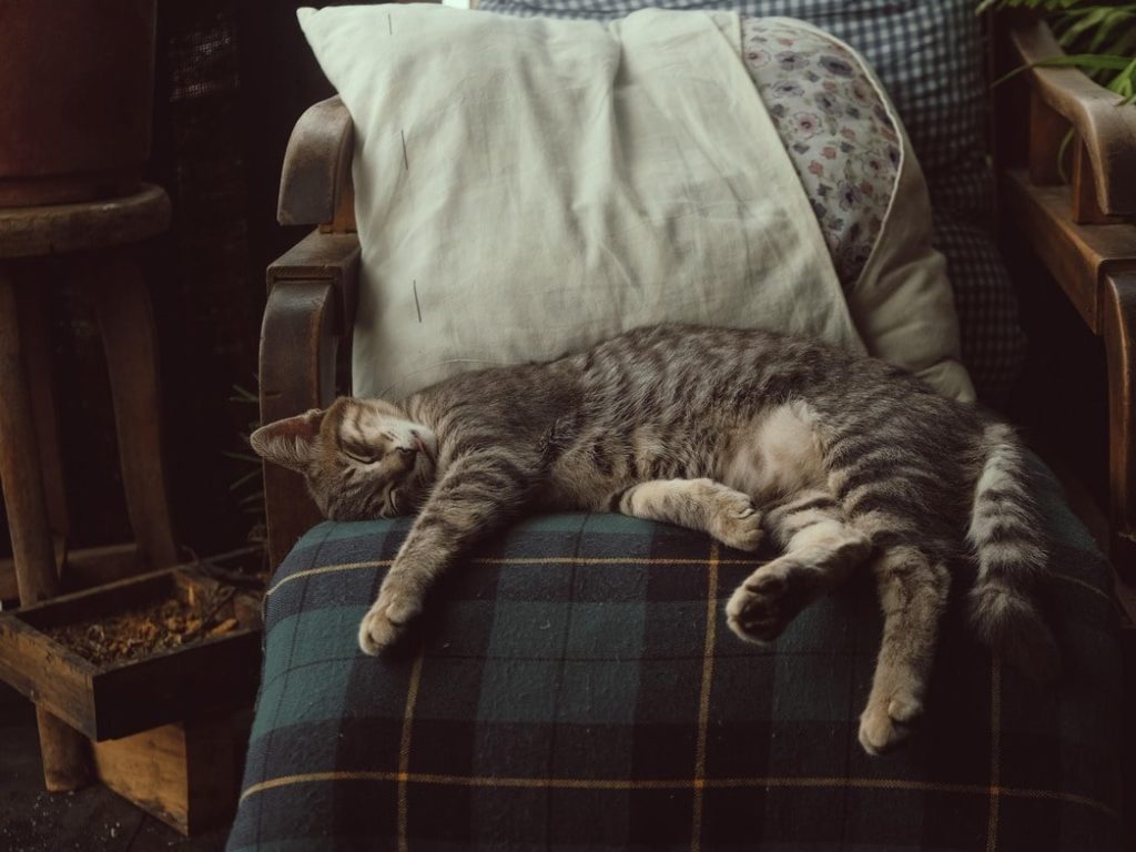 Ein Hoch auf das süße Nichtstun