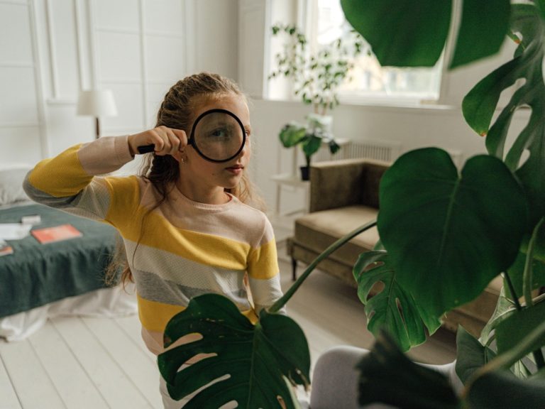 Grün ist in Österreich grüner