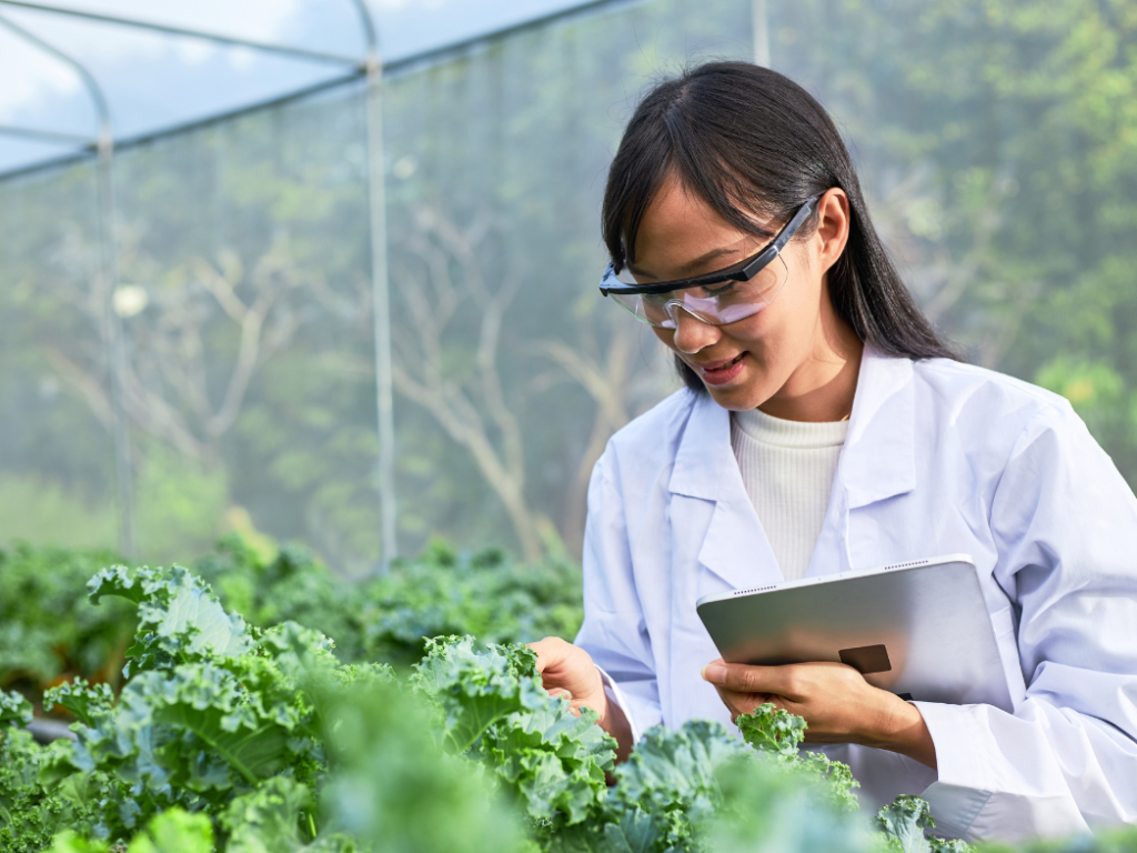 Green Jobs: Karriere für die Umwelt