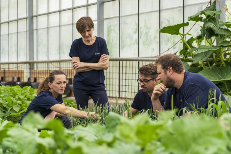 Ensemo setzt auf Mikroorganismen für eine reiche Ernte