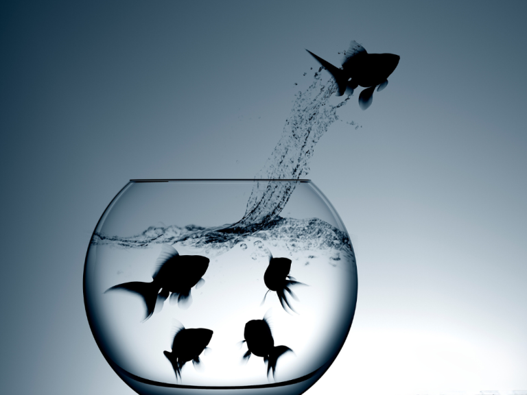 Karriere ohne Stress