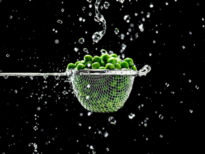 So entlarvt man Greenwashing