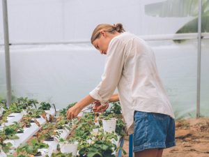 Warum Nahrung wertvoll wird