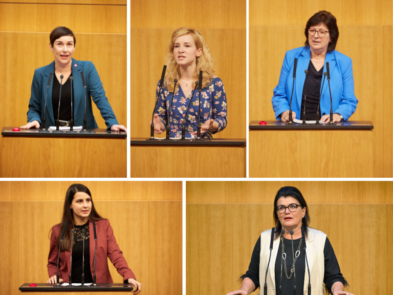 Was bietet die Politik den Frauen?