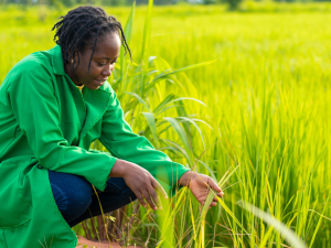 Wie Social Impact Investing Frauen stärkt