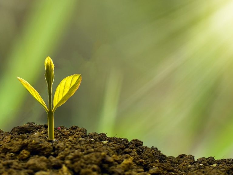 Mehr Frauen an der Spitze von Green Start-ups