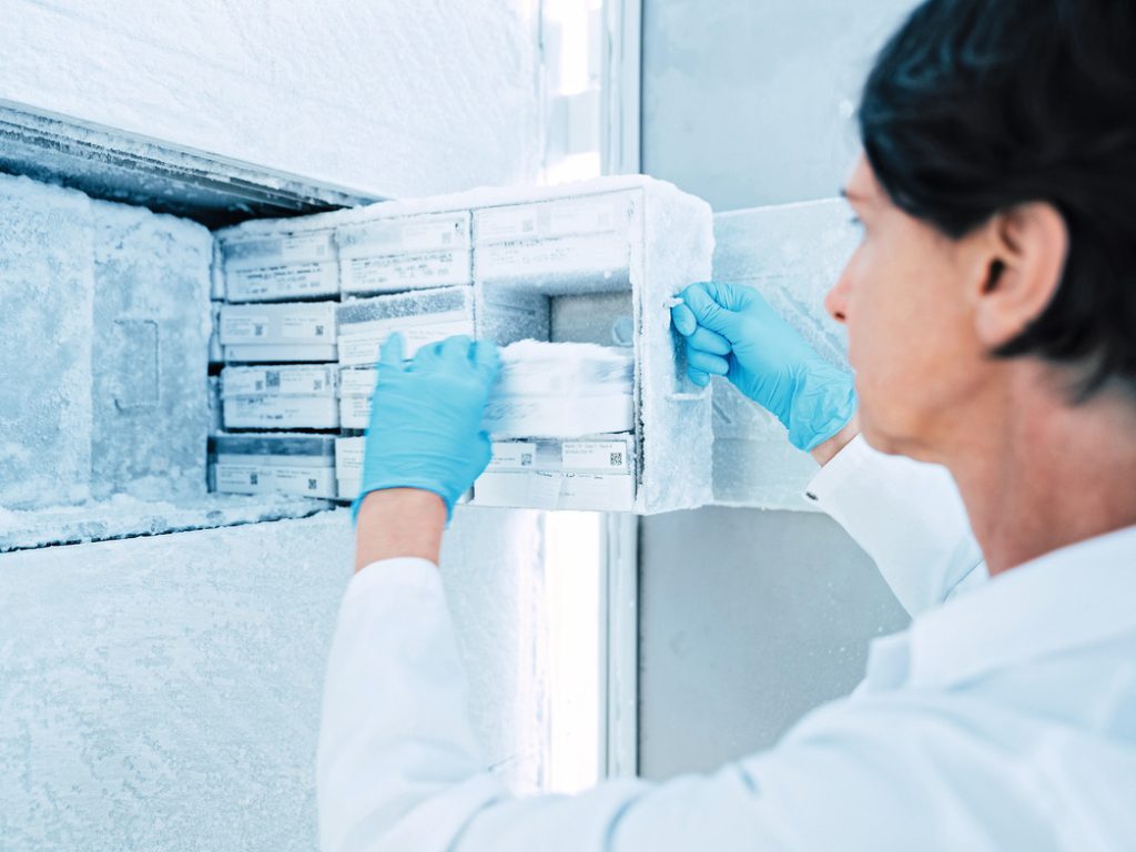 Nabel der Welt von Morgen