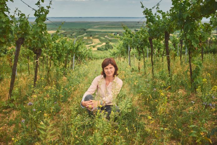 Die Winzerin Birgit Braunstein stelle den elterlichen Winzerbetrieb biologisch auf und setzt auf Biodiversität im Weinbau.